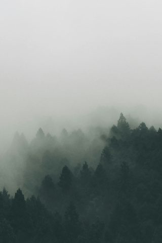 Mist
