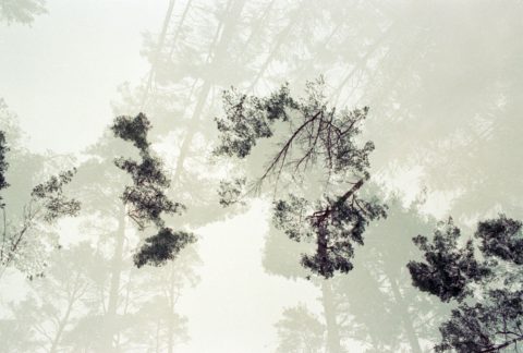 Dreams of Flight